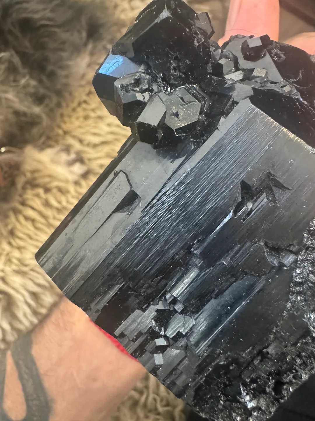 Black Tourmaline Crystal image indicator(3)