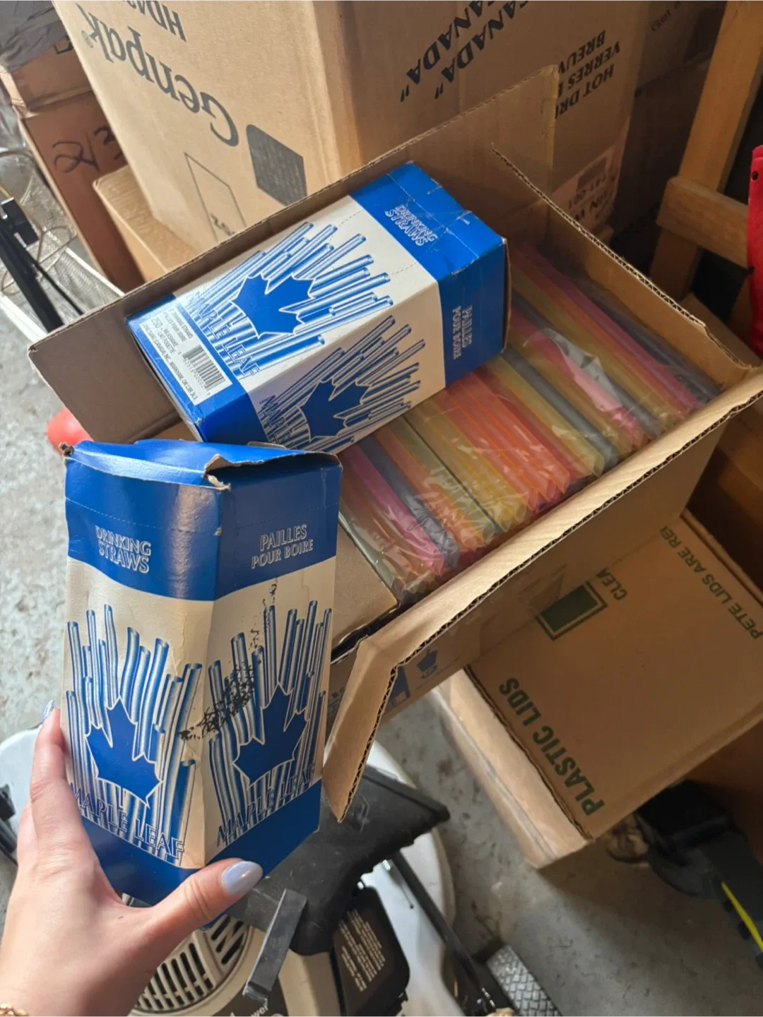 disposable cups and straws and food containers image indicator(5)