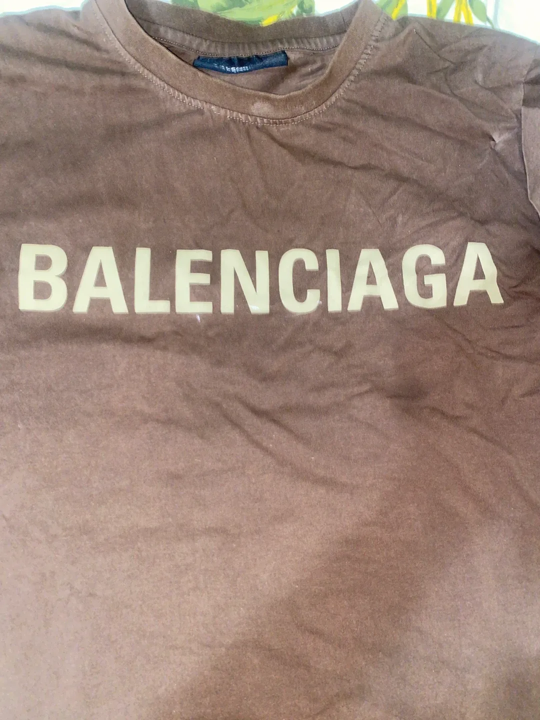 Balenciaga Brown T-shirt image indicator(2)