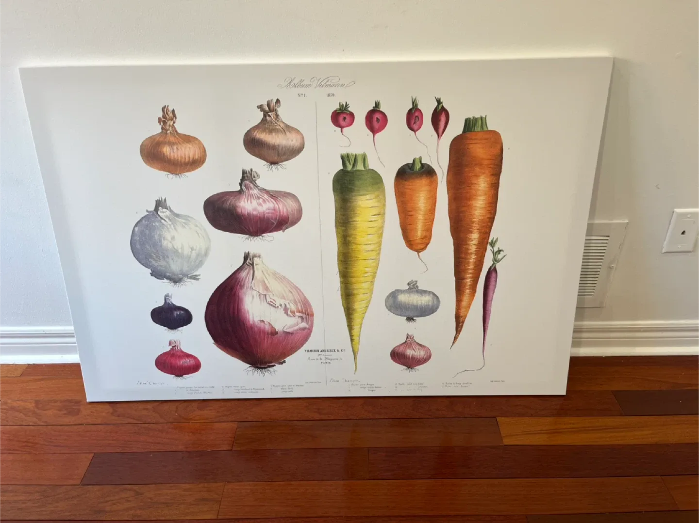 Moving sale IKEA PJÄTTERYD Vegetable Print Wall Art thumbnail