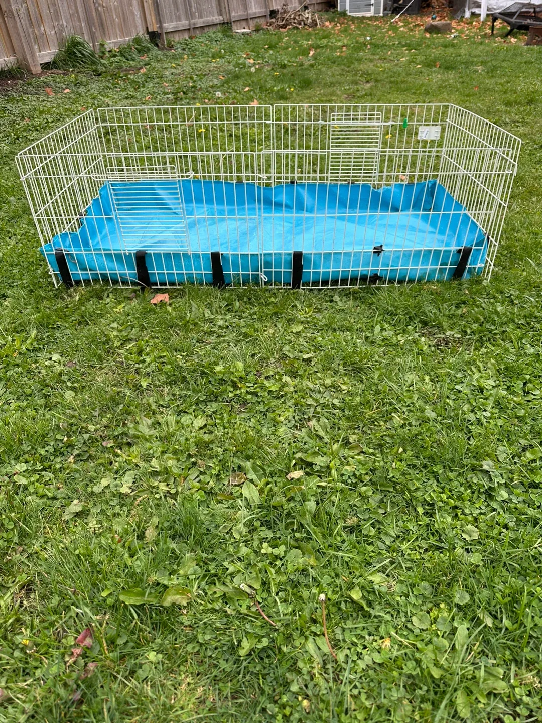 Small animal cage image indicator(2)