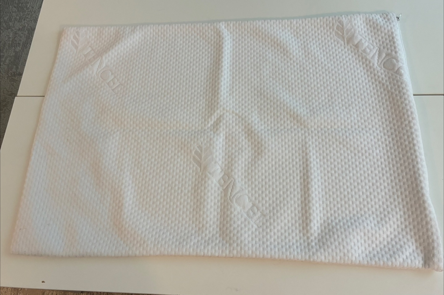 NEW Extra-large pillow protector