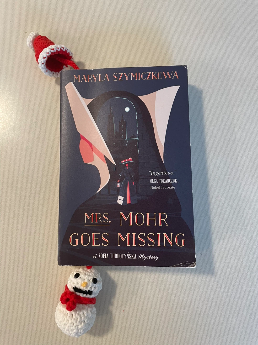 Novel - Mrs. Mohr Goes Missing