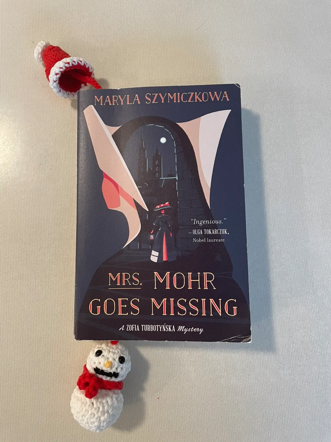 Novel - Mrs. Mohr Goes Missing thumbnail