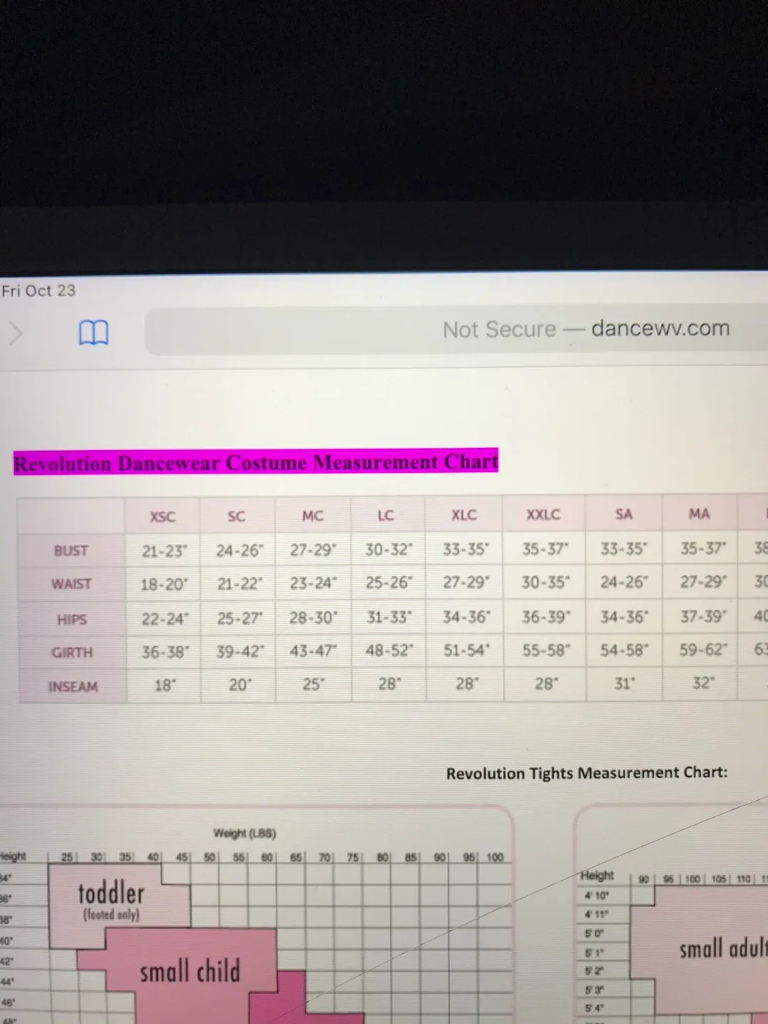 Ballet Costume - Sz Child Medium image indicator(4)