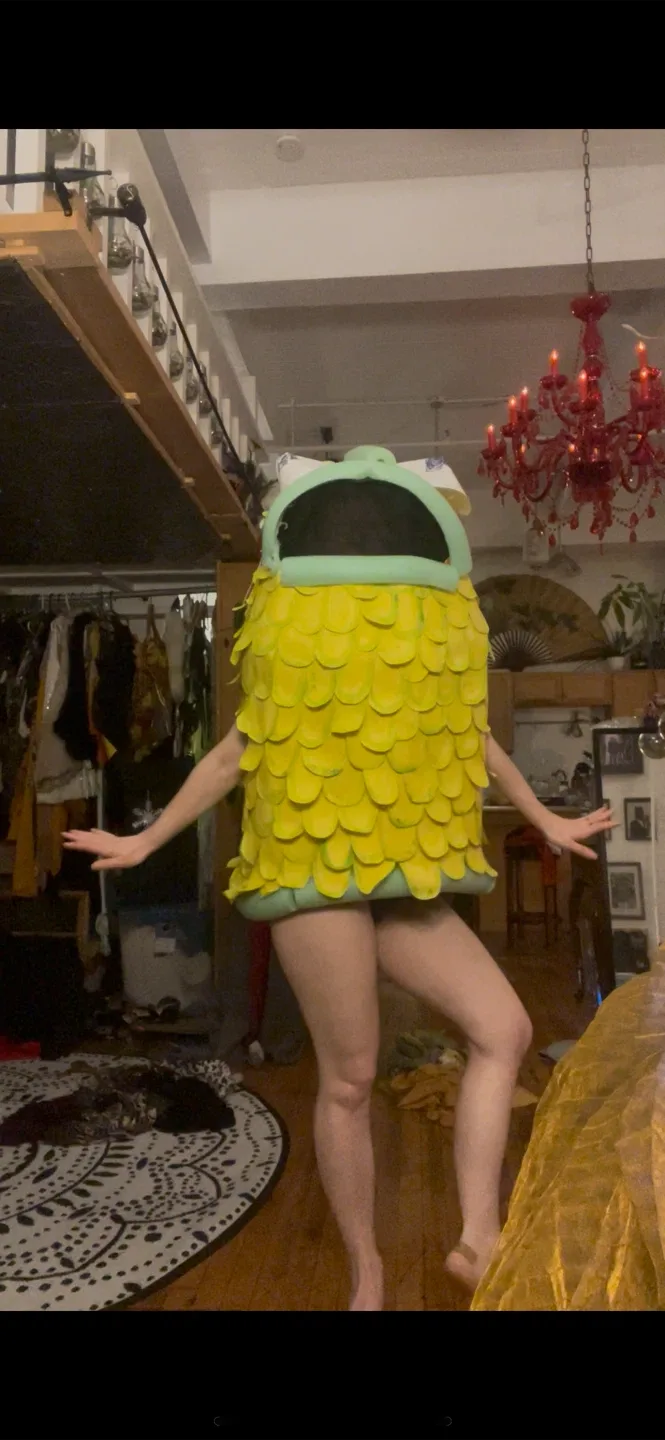 Halloween fish costume image indicator(2)