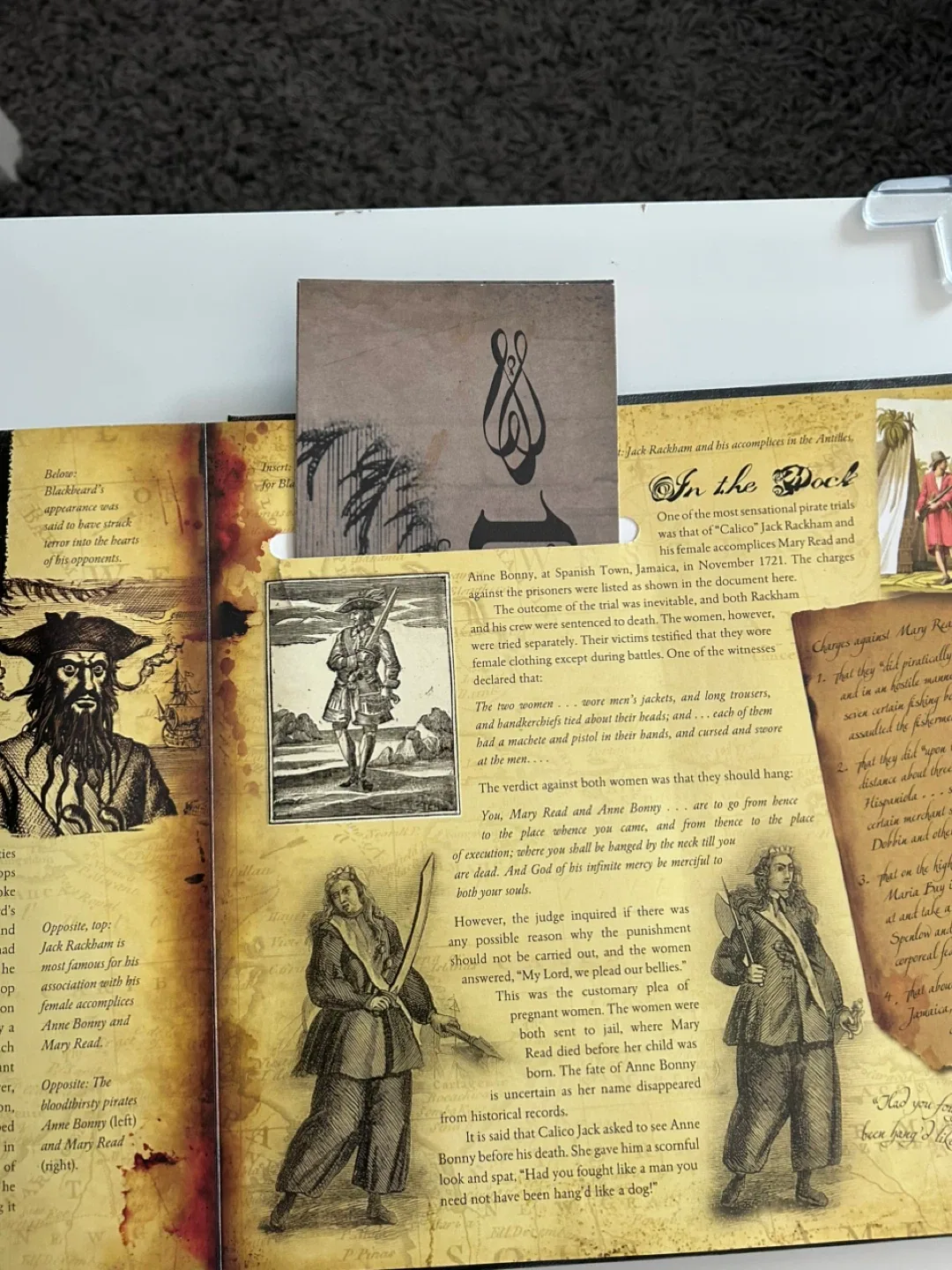 Pirates by John Matthews - Carlton Books image indicator(7)