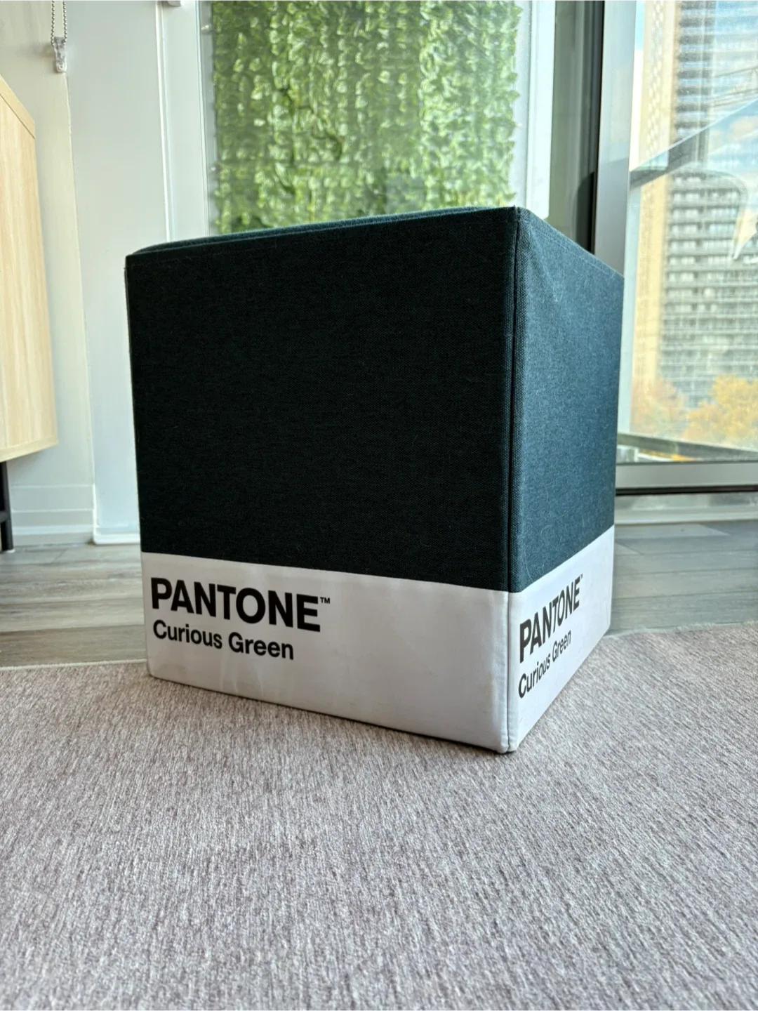 Storage Ottoman - Pantone Curious Green