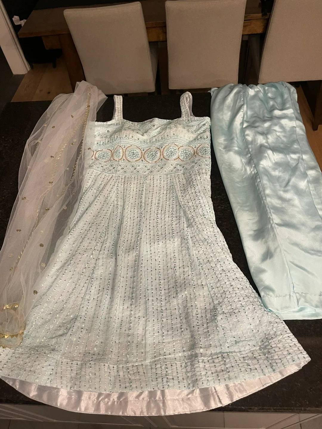 Sky Blue Indian indian Dress image indicator(3)