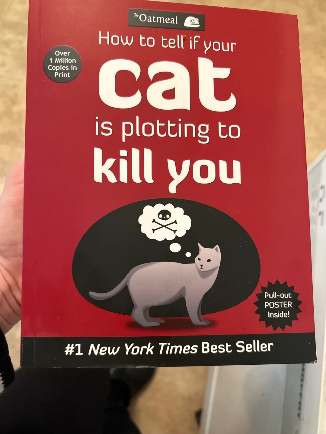 How to Tell If Your Cat Is Plotting to Kill You thumbnail