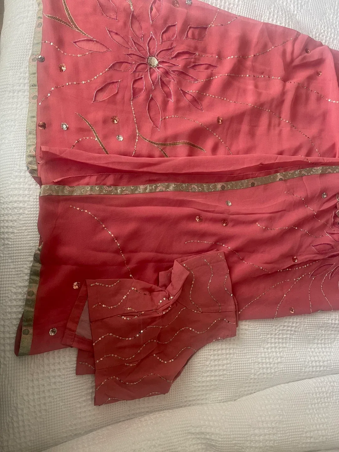 Chiffon cut work Sari with Embellishments Indian wear image indicator(2)