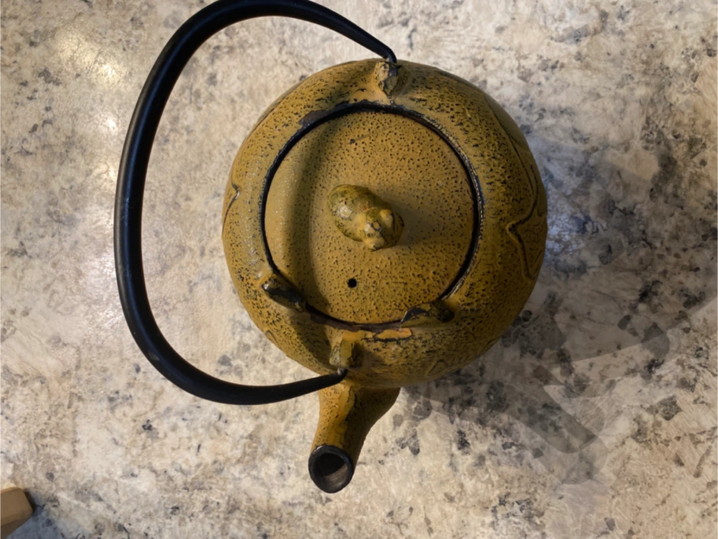 Cast Iron Teapot with Infuser