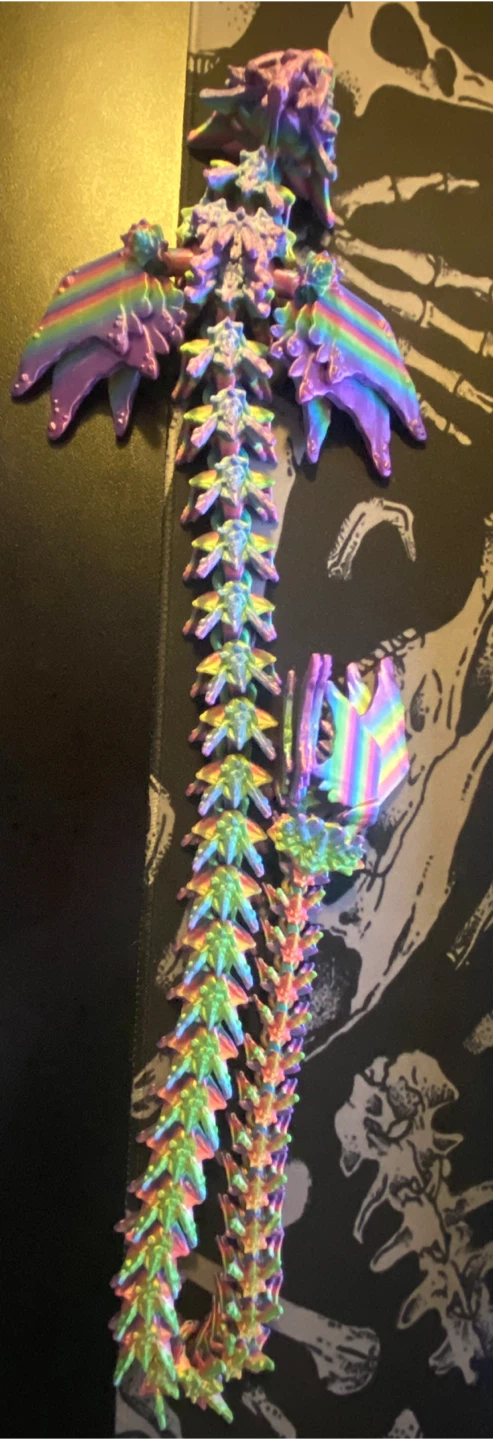 Rainbow Articulated Dragon