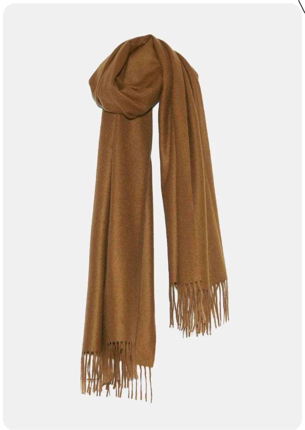 Brown Fringe Scarf image indicator(2)