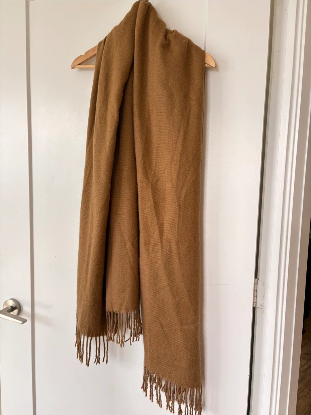 Brown Fringe Scarf - photo 4
