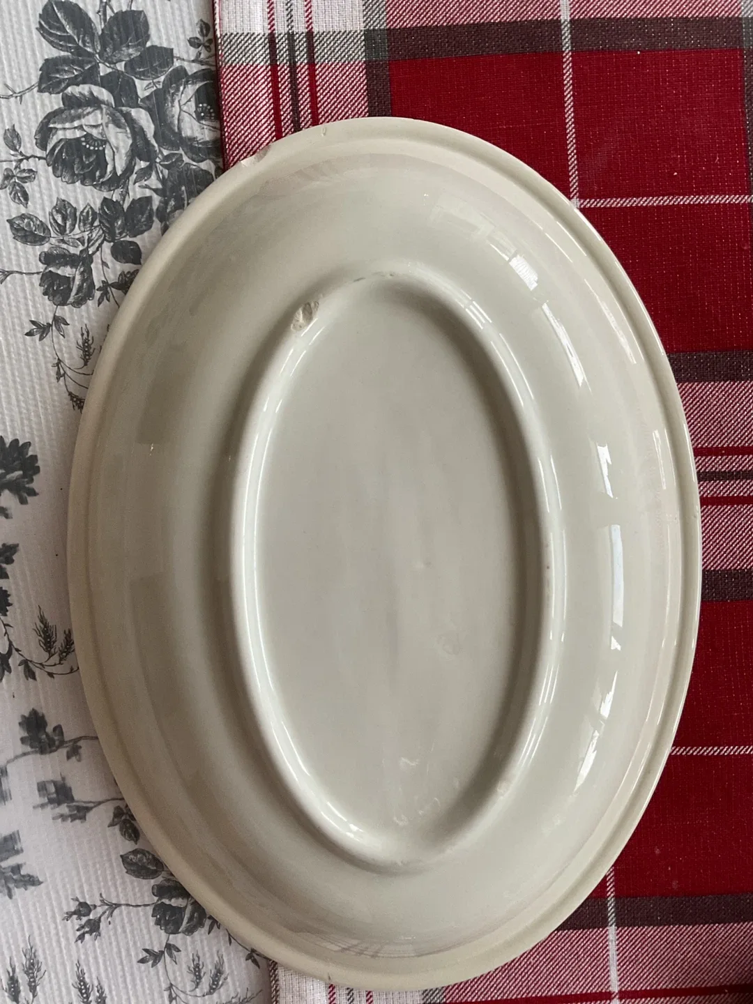 Oval Plate with Colourful Rings image indicator(2)