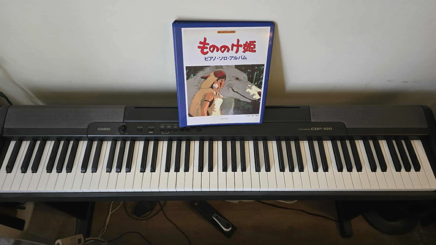 Casio CDP-100 Weighted Keyboard