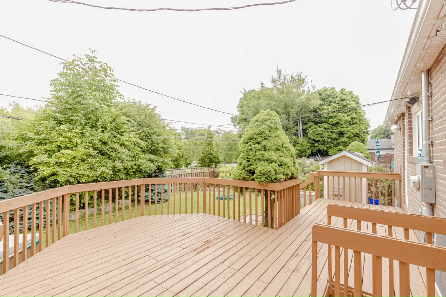 House for Rent - photo 4