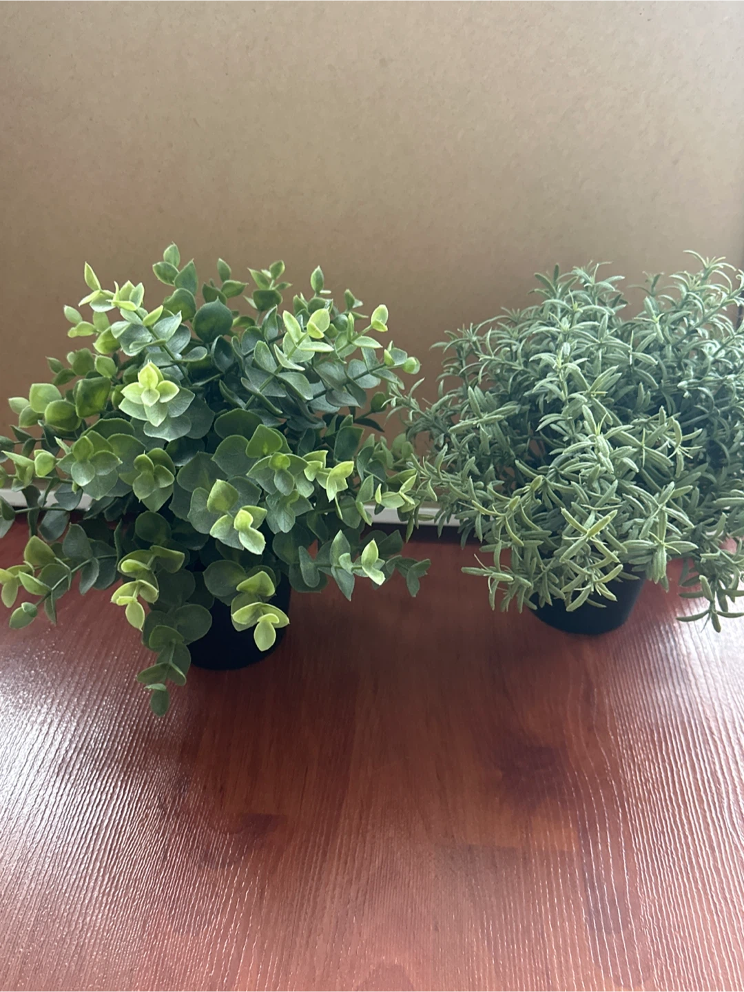 Artificial Potted Plants - Eucalyptus & Rosemary