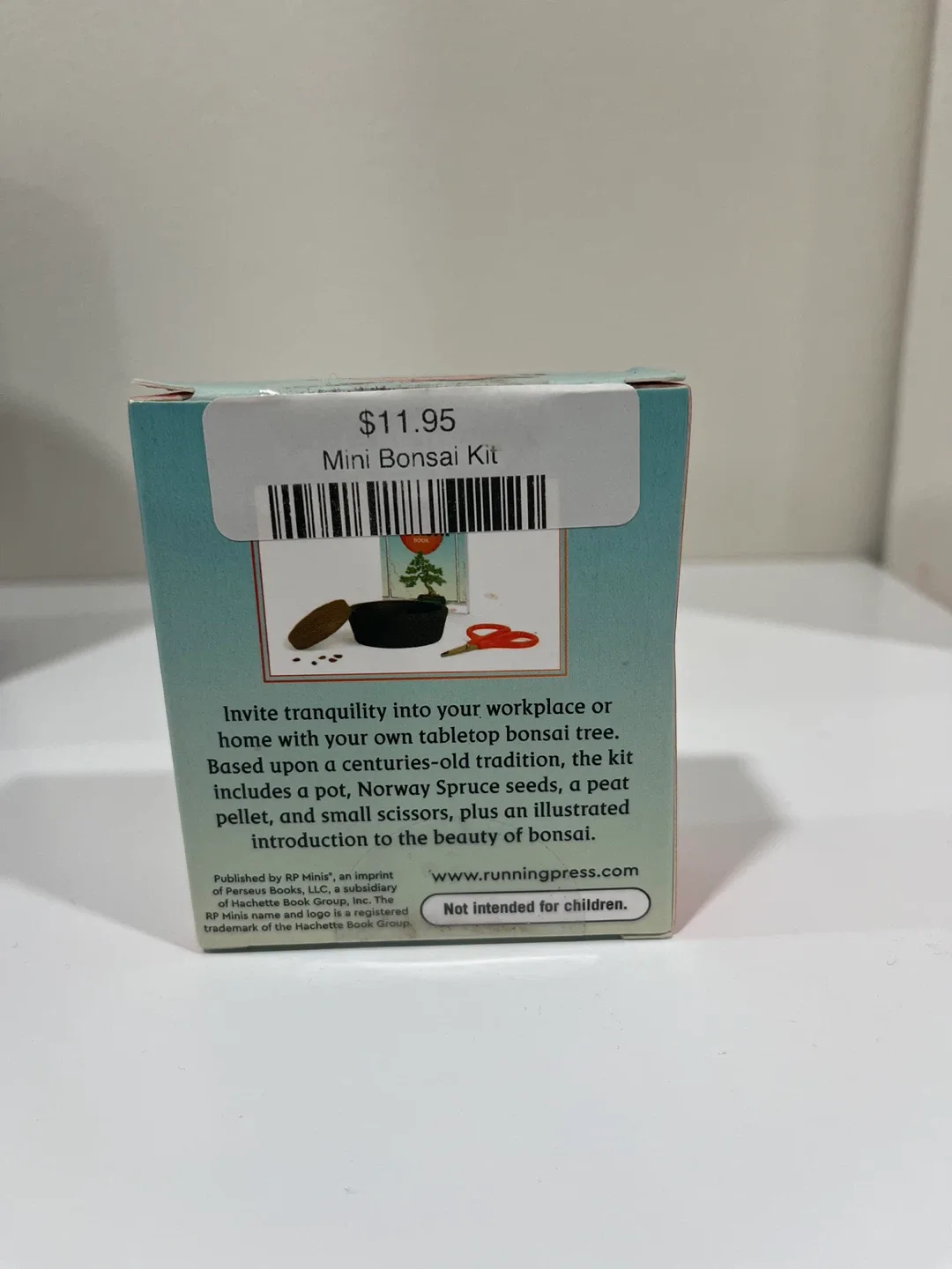 The Mini Bonsai Kit - Grow Your Own Bonsai image indicator(2)