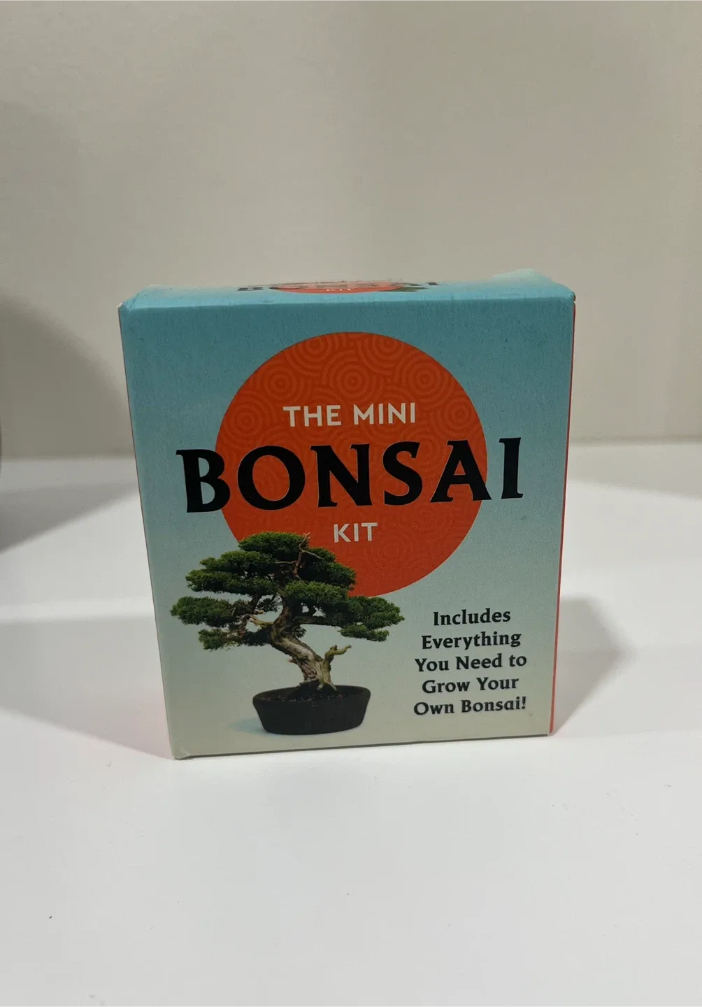 The Mini Bonsai Kit - Grow Your Own Bonsai thumbnail