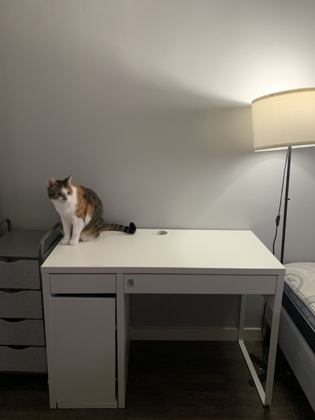 IKEA Micke White Desk - photo 2