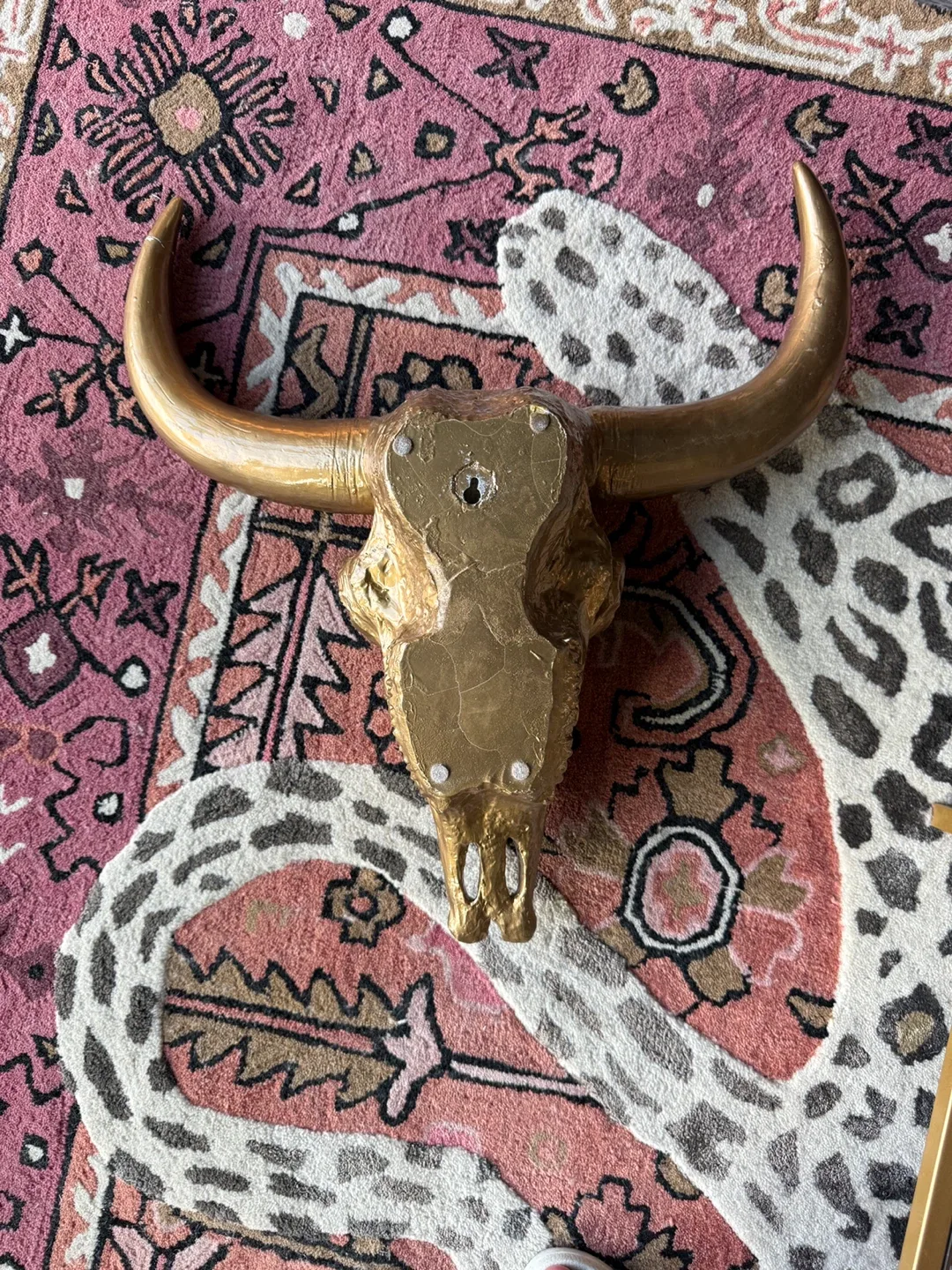 Bullhead taxidermy (faux) 19”x19” image indicator(5)