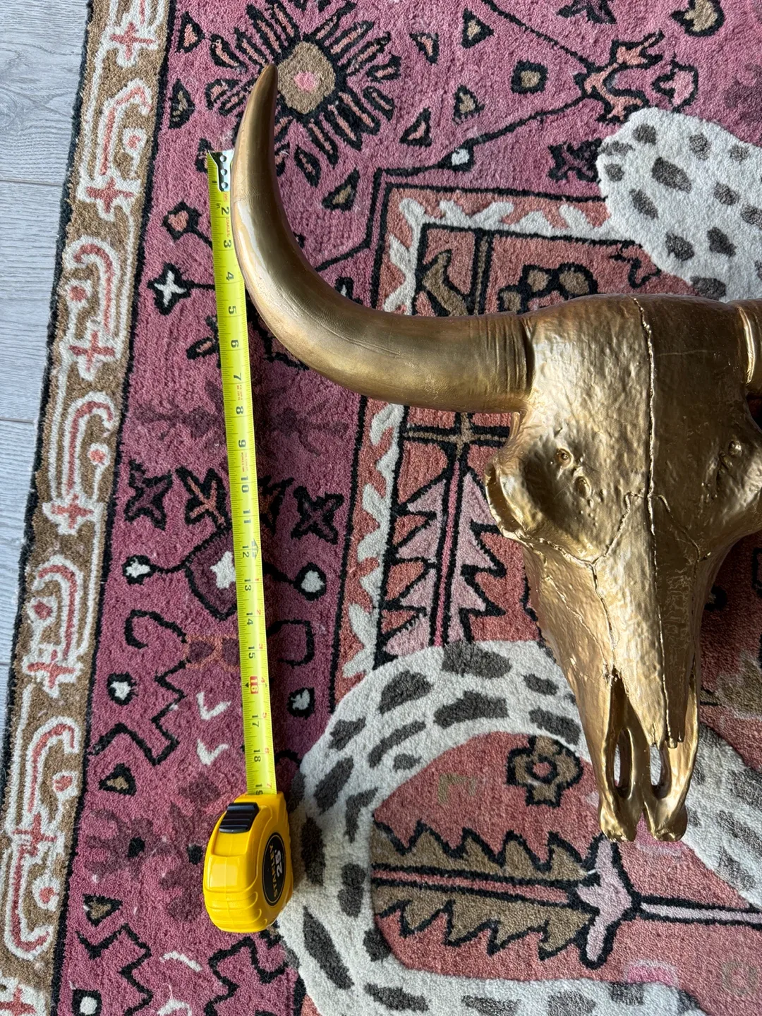 Bullhead taxidermy (faux) 19”x19” image indicator(6)