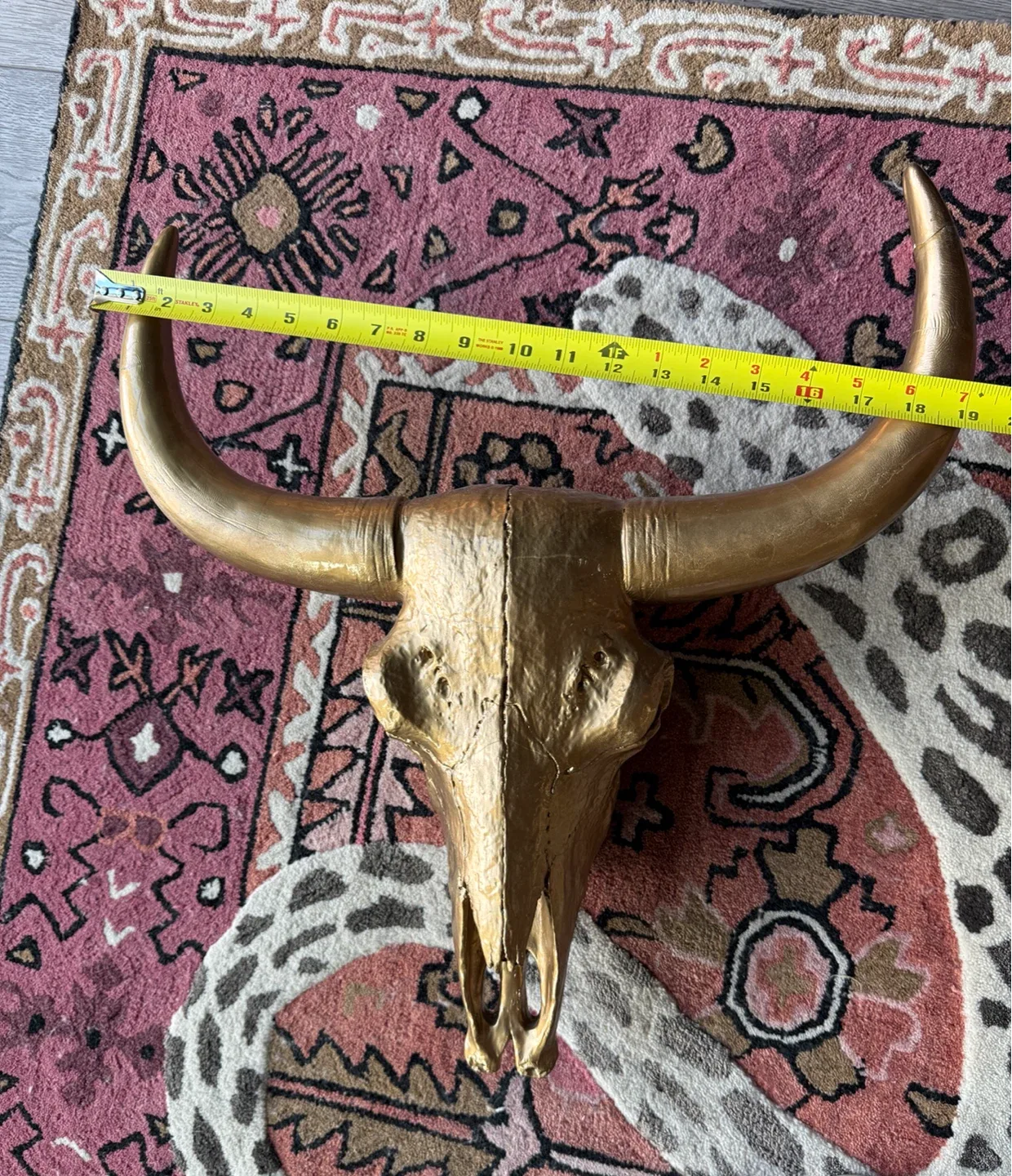 Bullhead taxidermy (faux) 19”x19” image indicator(7)