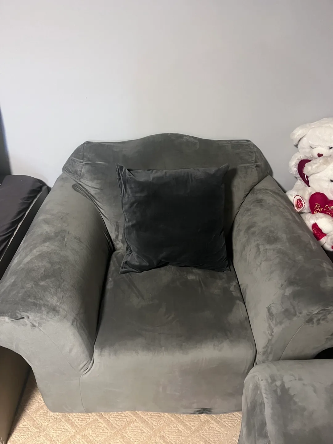 Loveseat Sofa & Grey Velvet Sofa Cover image indicator(3)