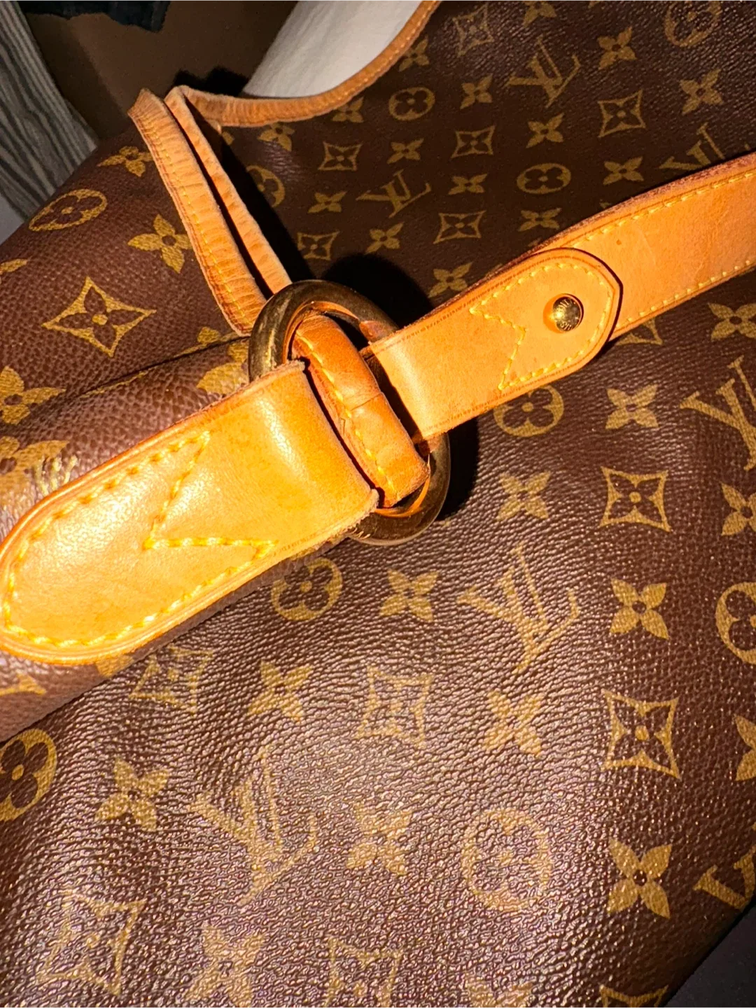 Louis Vuitton Monogram Canvas Delightful image indicator(6)