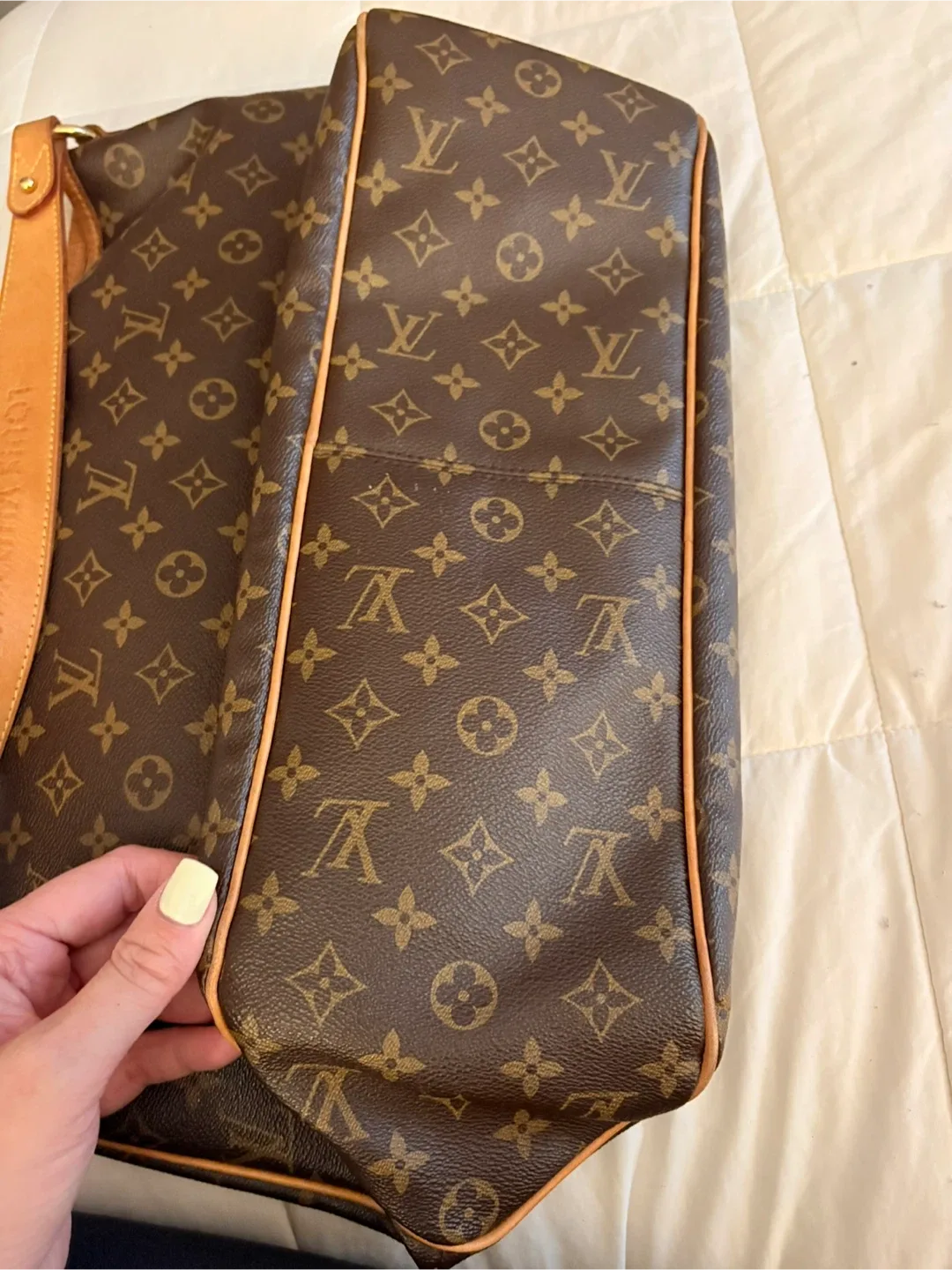 Louis Vuitton Monogram Canvas Delightful image indicator(10)