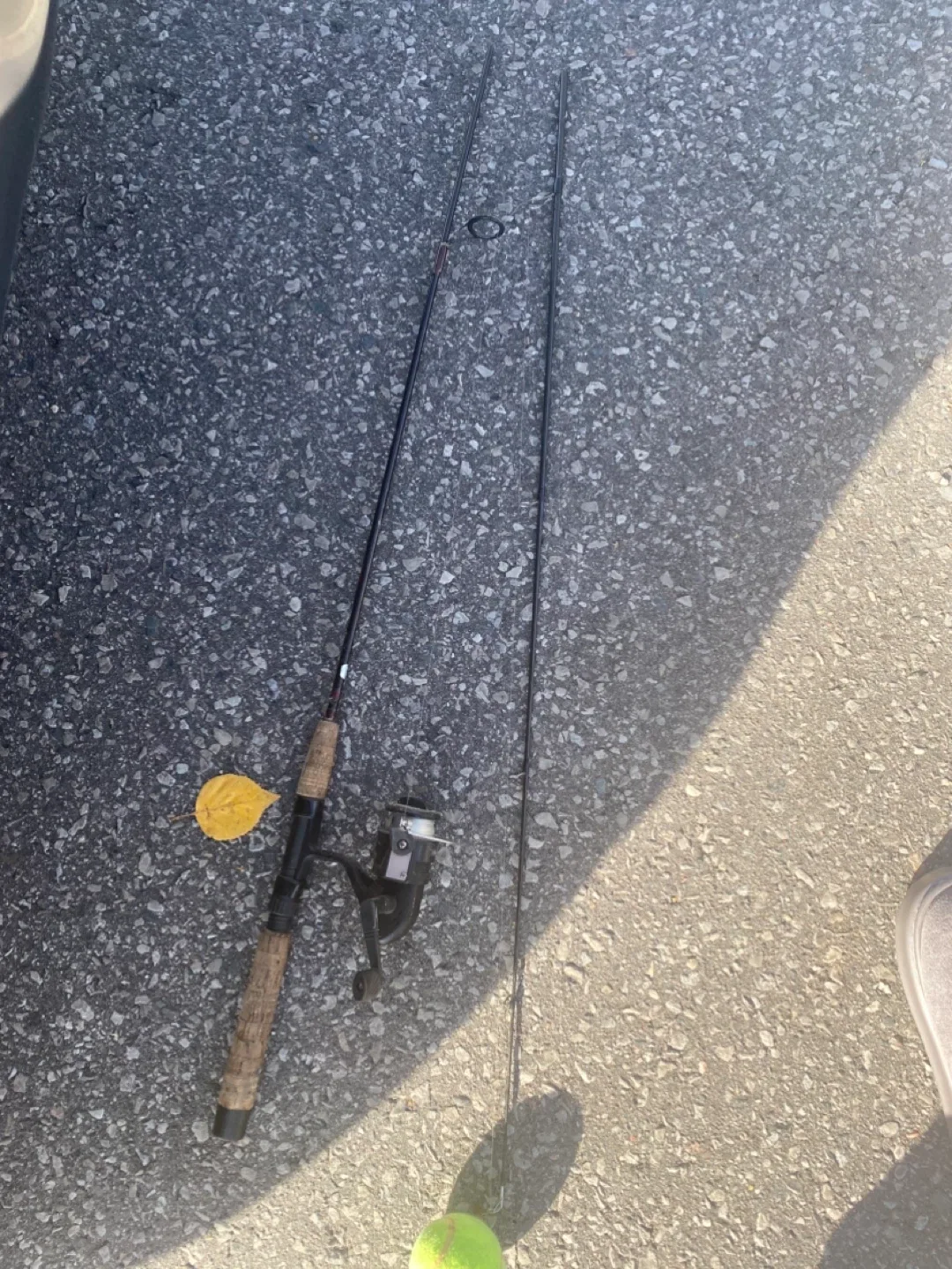 Shimano Stimula 6'0" Fishing Rod image indicator(4)