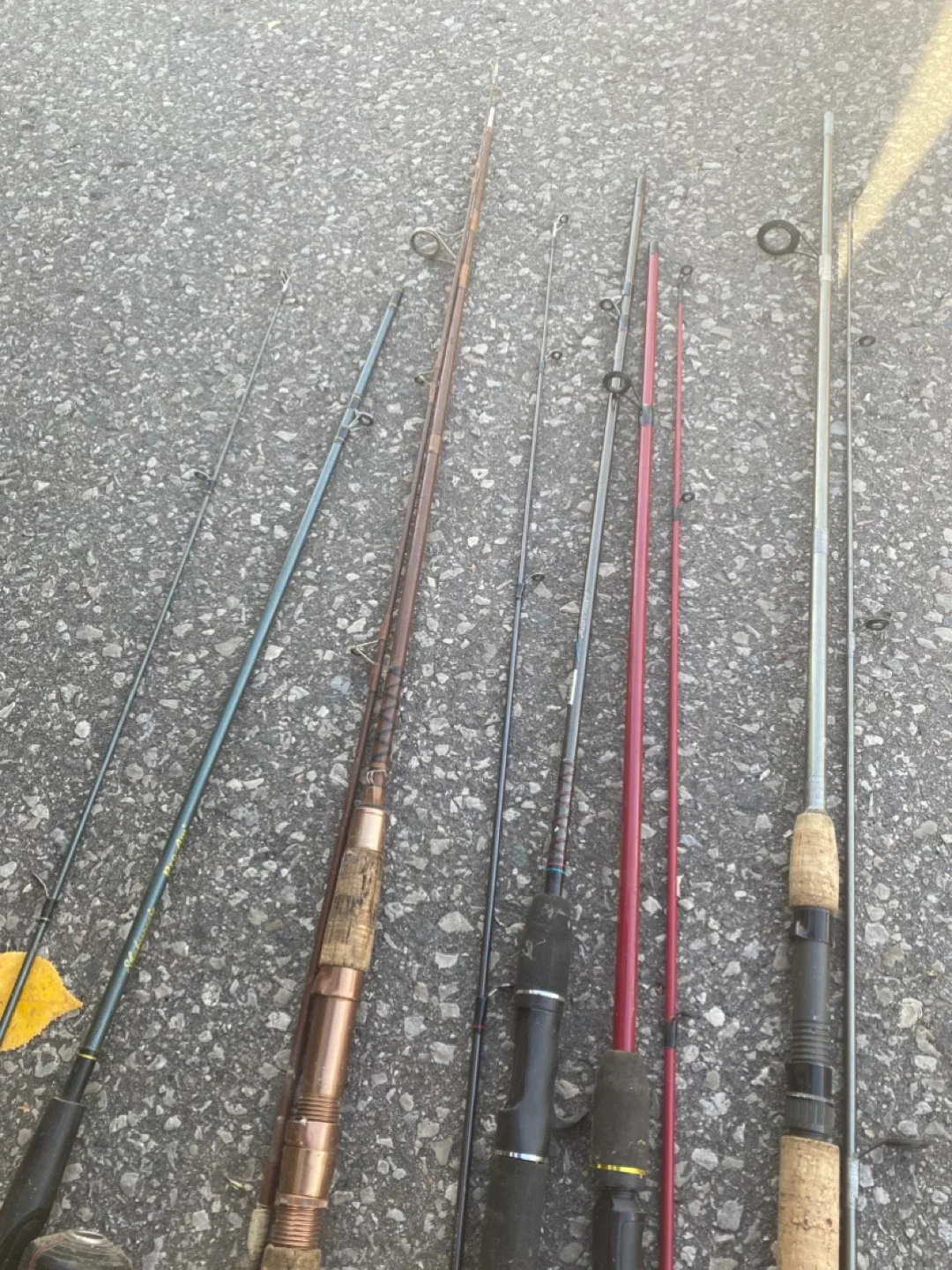 Fishing Rods - Variety of Styles (15 each) image indicator(4)