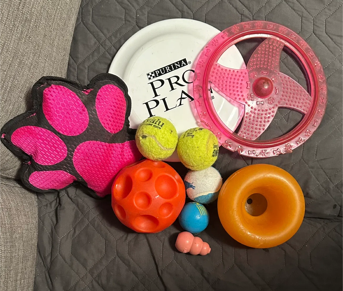 FREE! Used Dog Toys Bundle thumbnail