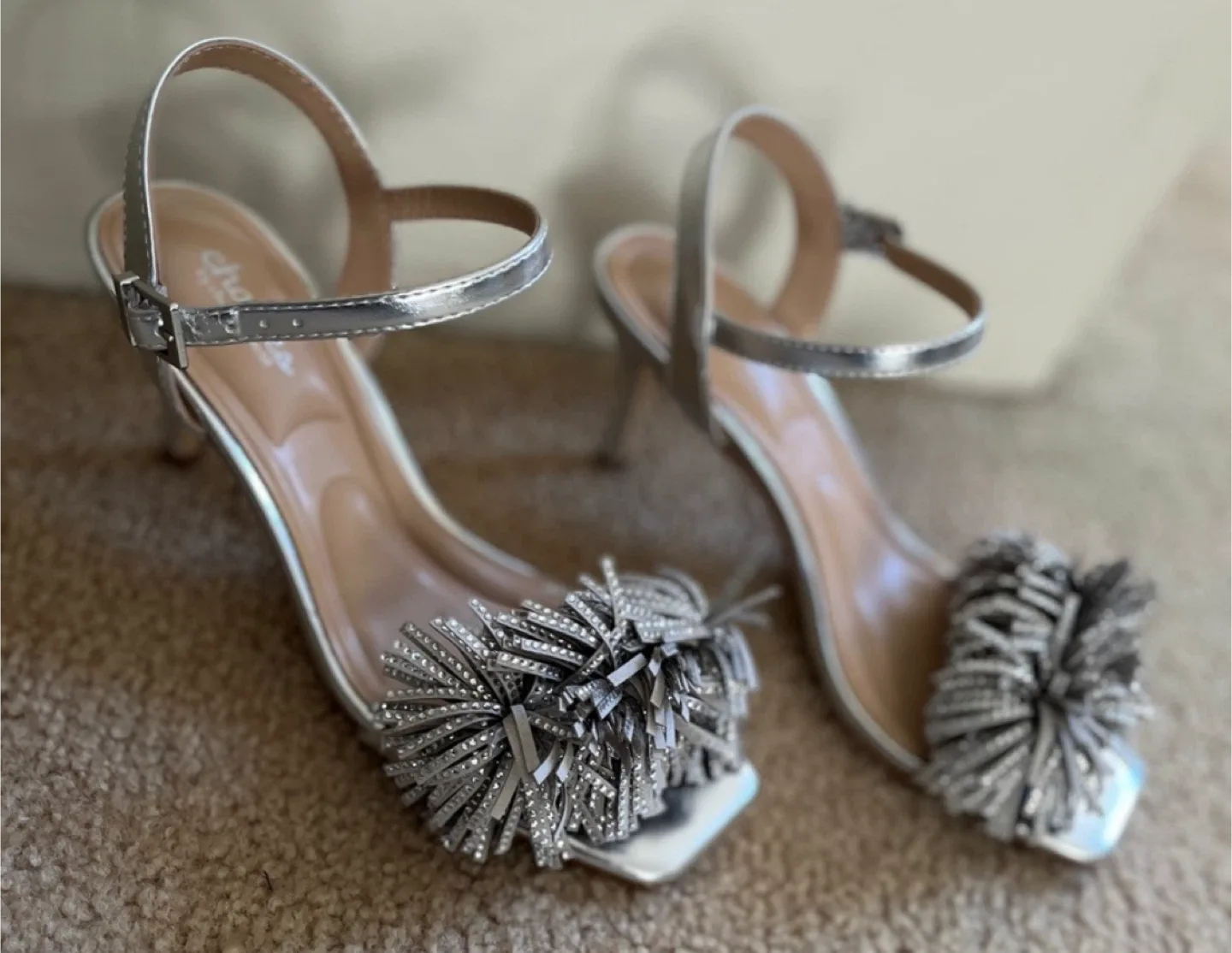 Charles Silver Heels - Size 7 image indicator(2)