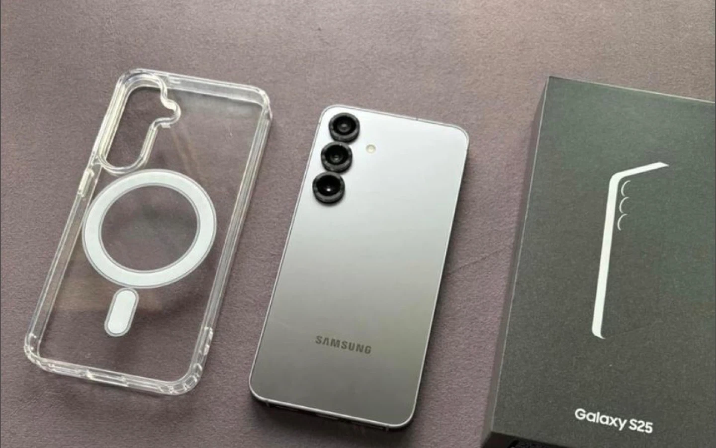 Samsung Galaxy S25 Silver Shadow