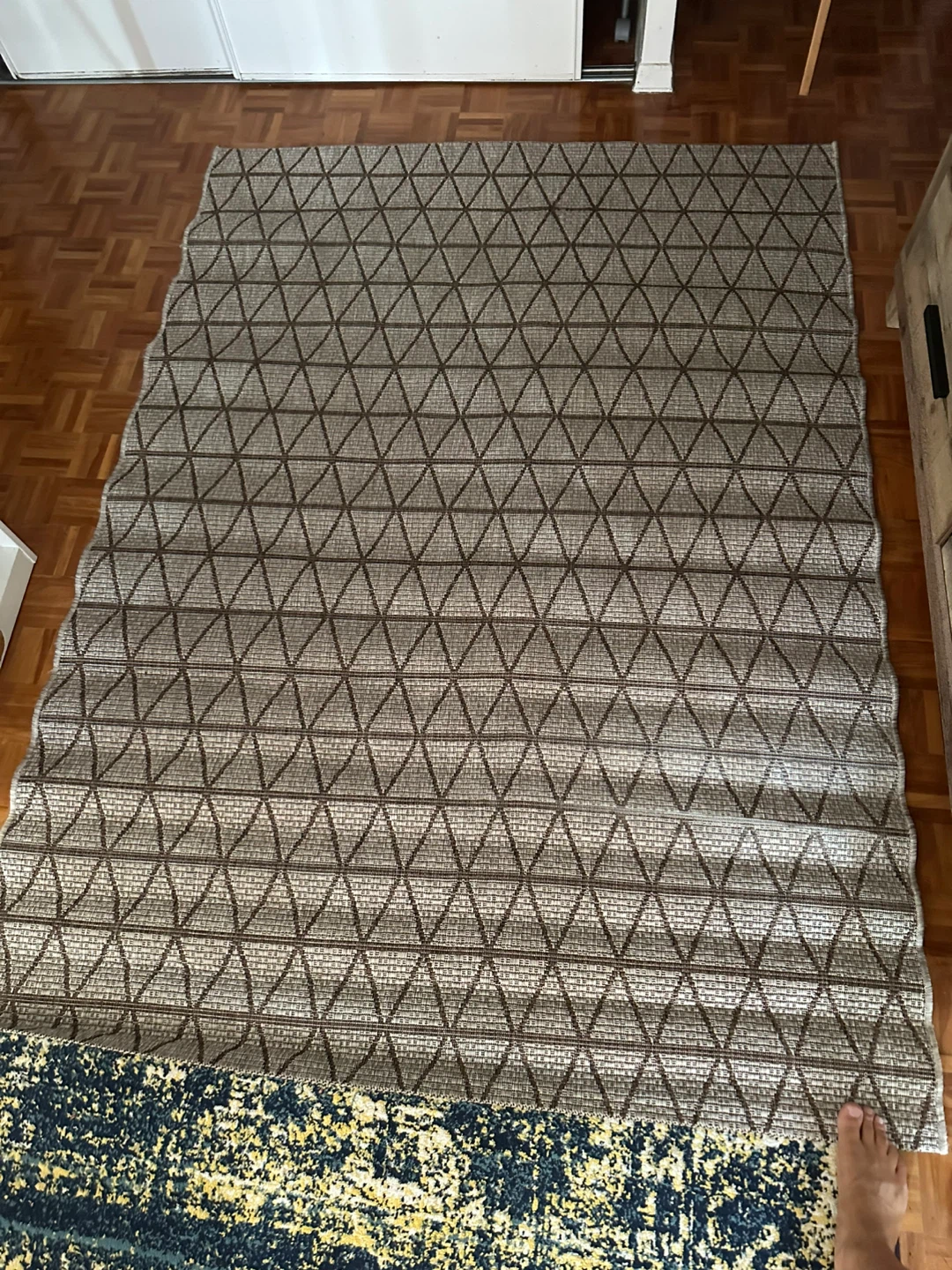 Patterned Area Rug