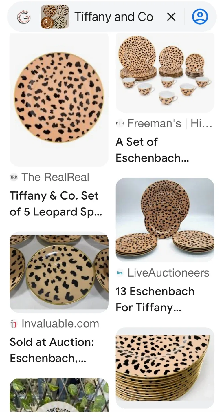 🤎 Set of 4 Appetizer/Desert Plates - Fun Leopard Prints! 🐆🐆🐆 image indicator(7)