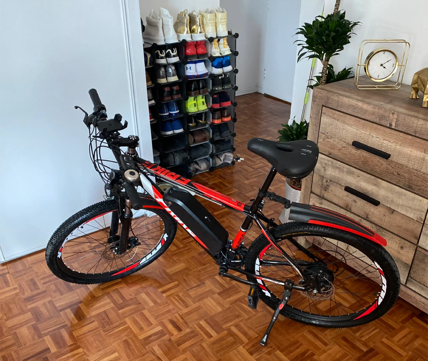 FRIKE Electric Mountain Bike