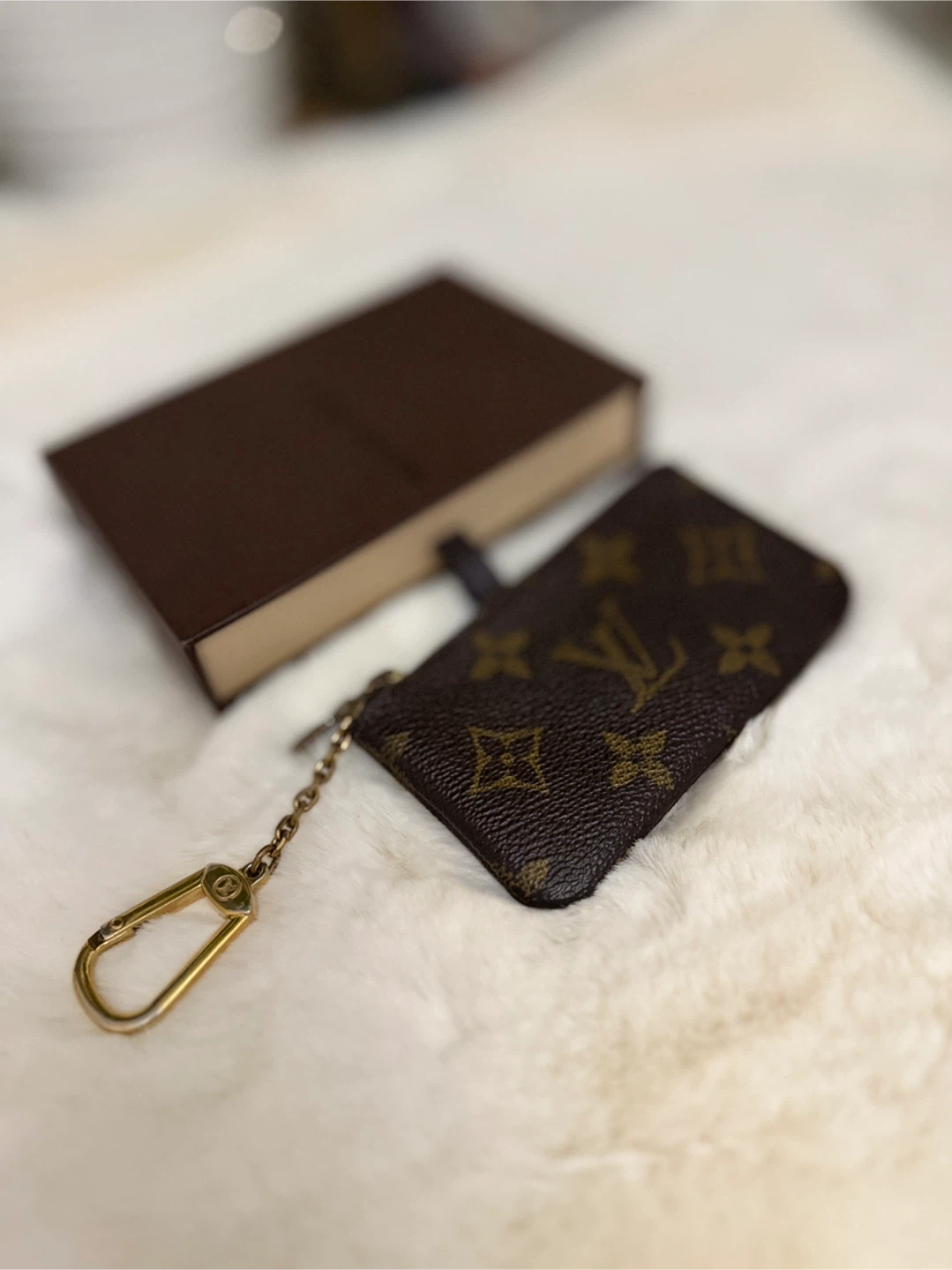 Louis Vuitton Monogram Key Pouch