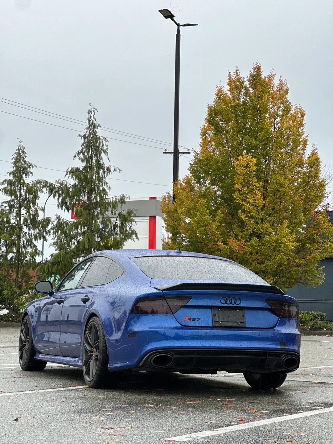 2016 Audi RS7 image indicator(3)