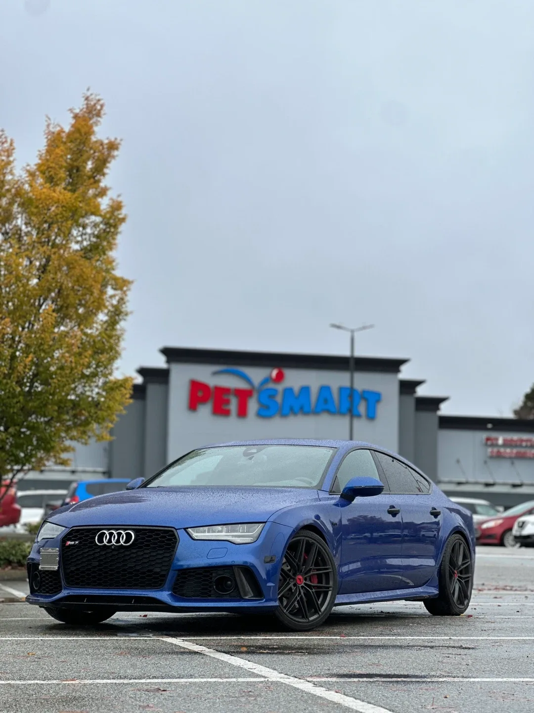 2016 Audi RS7 image indicator(4)