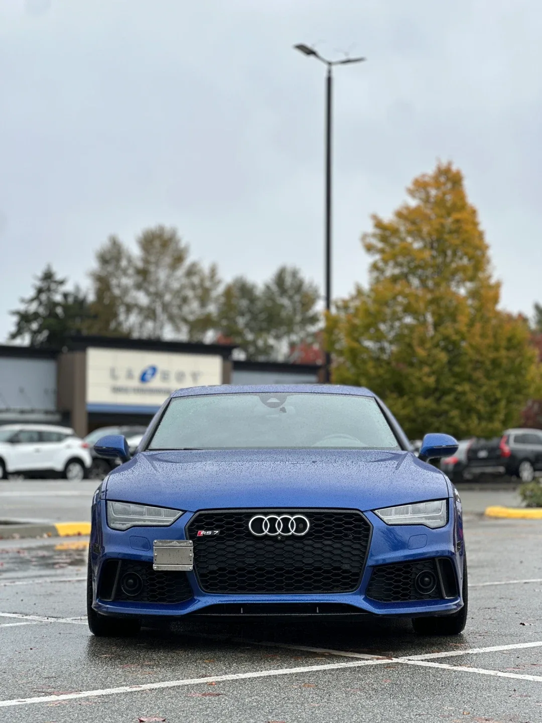 2016 Audi RS7 image indicator(10)