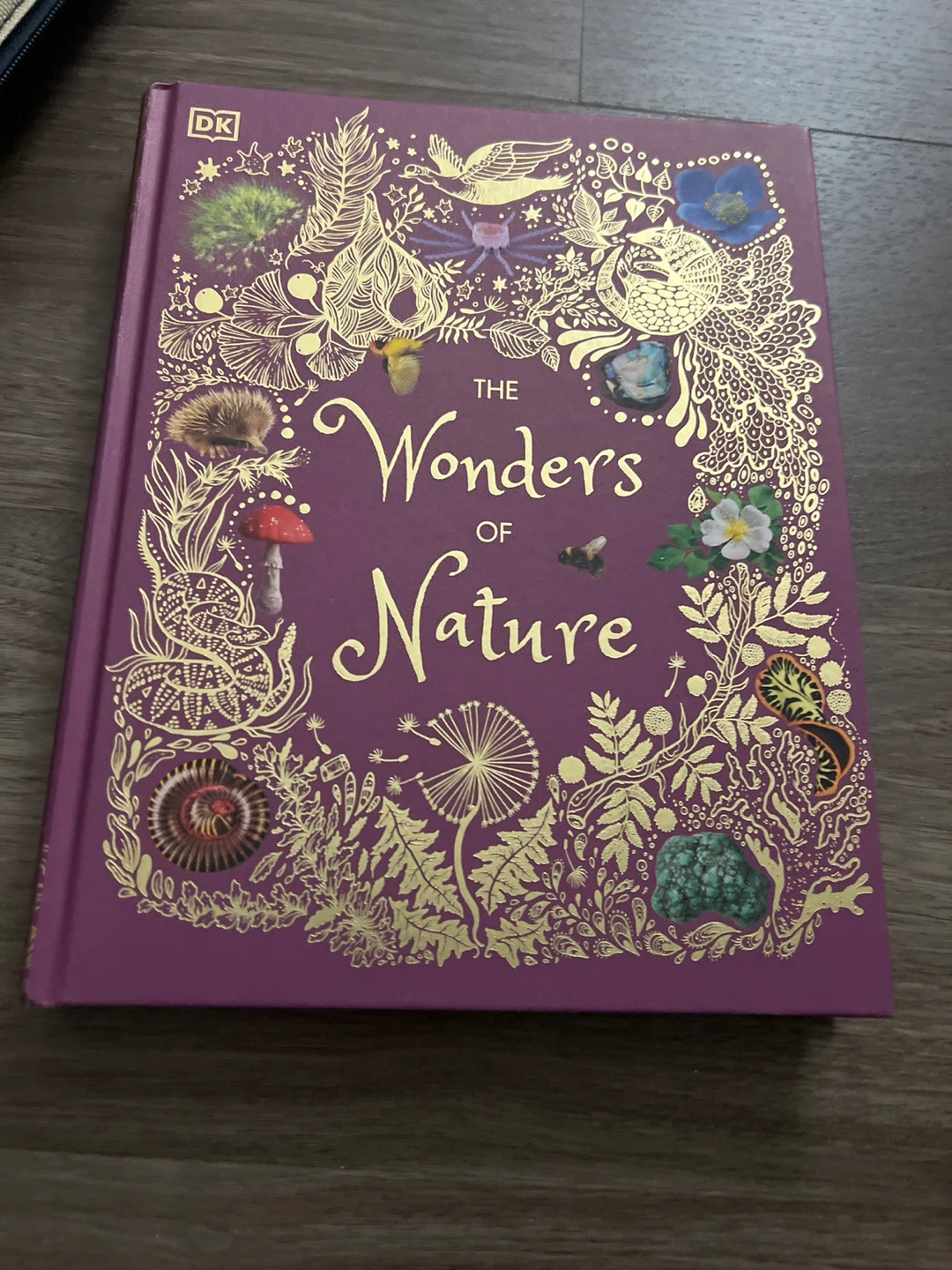 The Wonders of Nature by DK