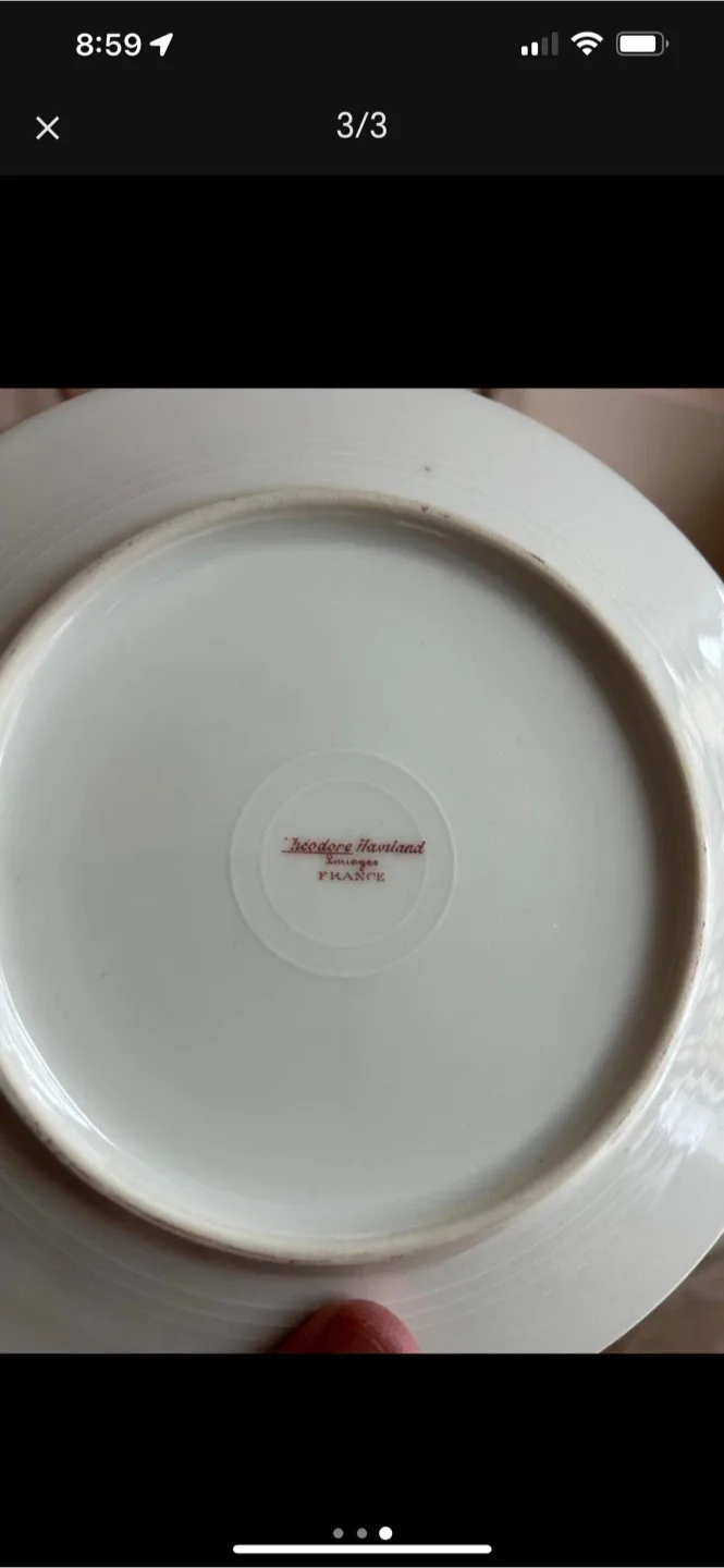 Theodore Haviland Limoges France Floral Plate image indicator(3)