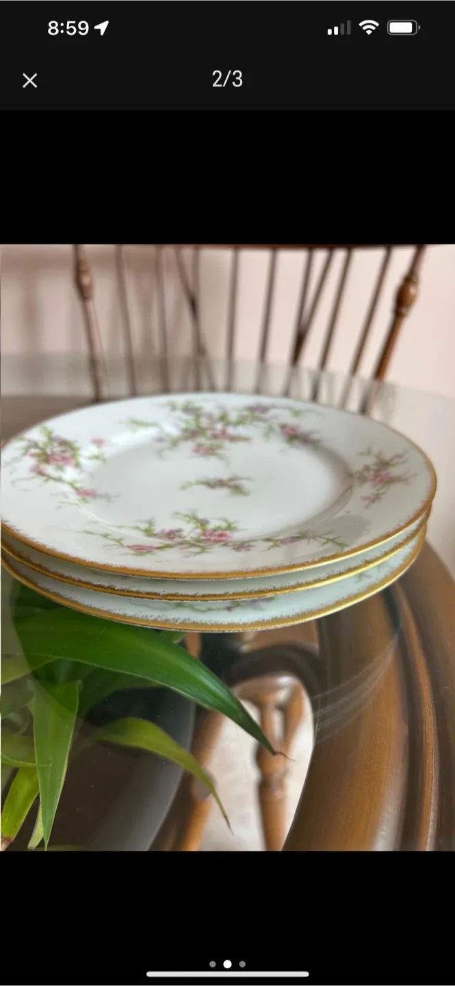 Theodore Haviland Limoges France Floral Plate image indicator(2)