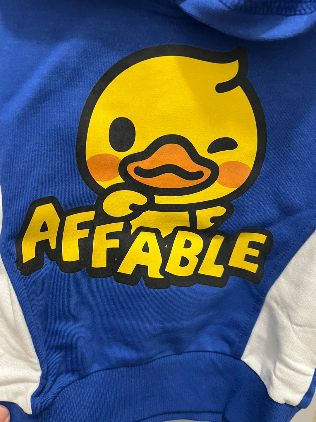 Walnut Duck Blue Hoodie - Size 90 image indicator(3)