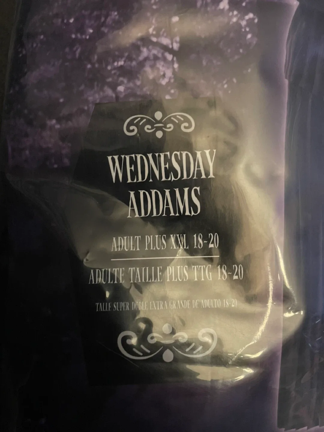 Wednesday Addams Adult Plus XXL 18-20 Costume image indicator(2)