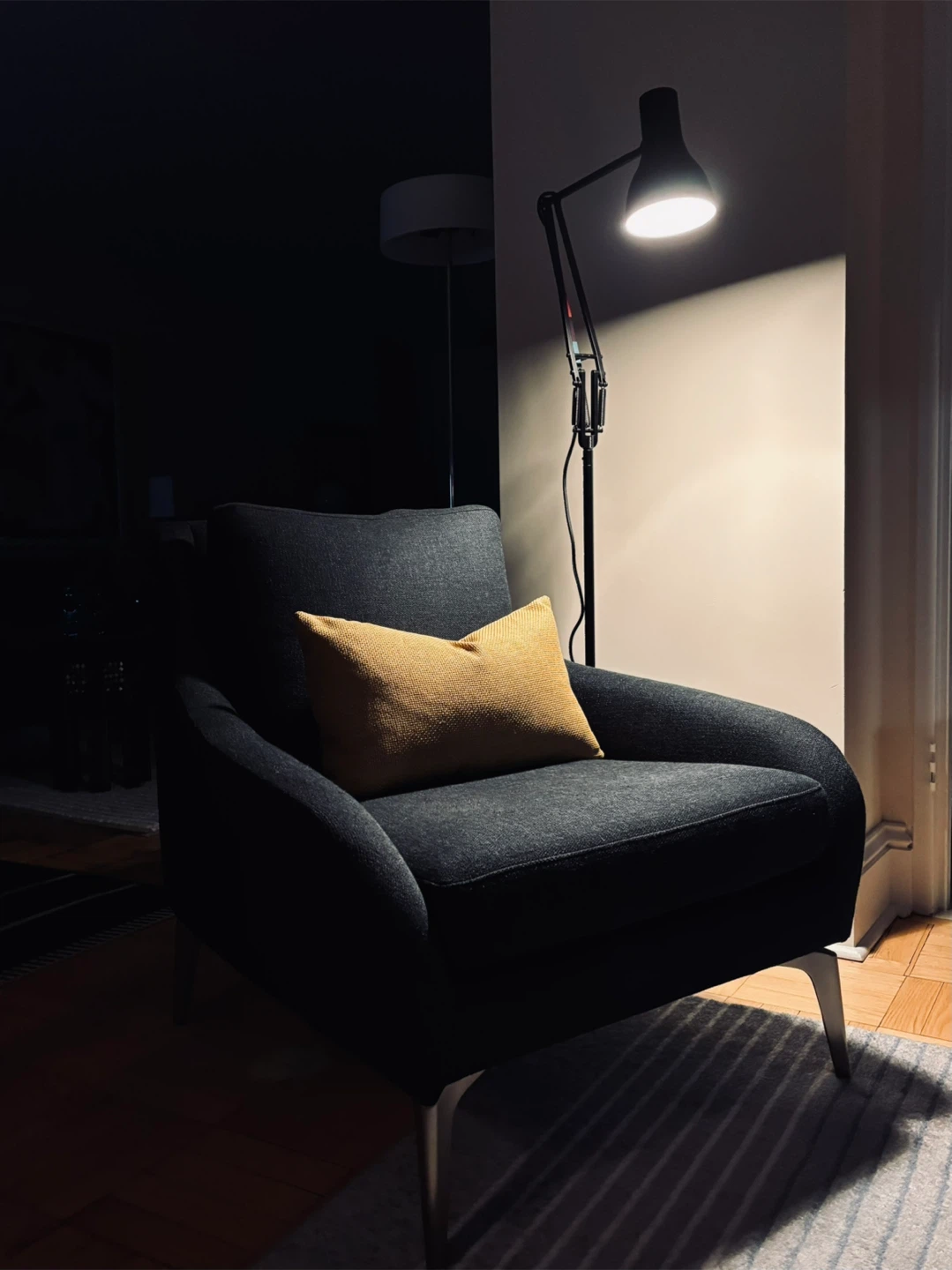 Anglepoise Paul Smith Limited Edition Floor Lamp - photo 2